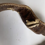 Diseño sin título (67)