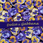 Diseño sin título (80)